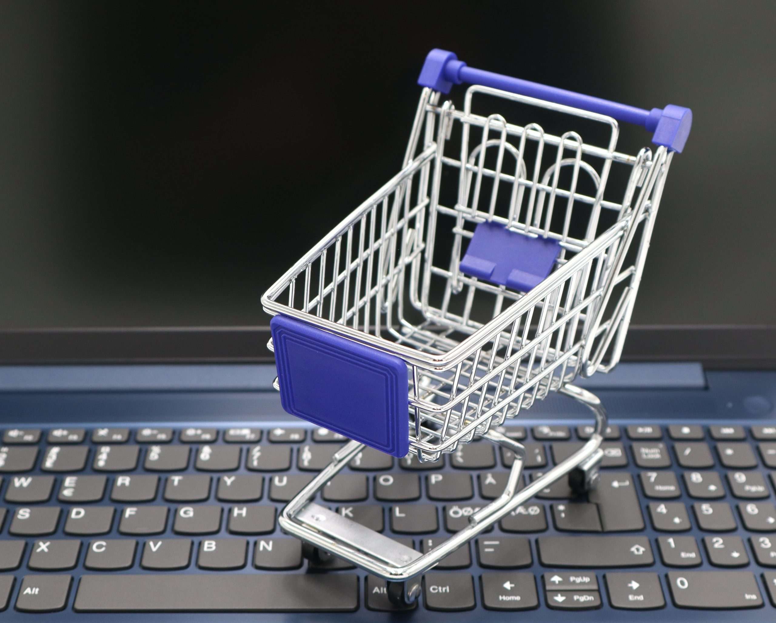 marketplace vs own online store Singapore - inter8tiv.com